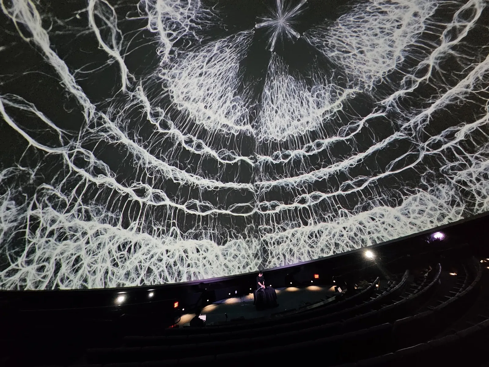 Folding Harmonies dome visual