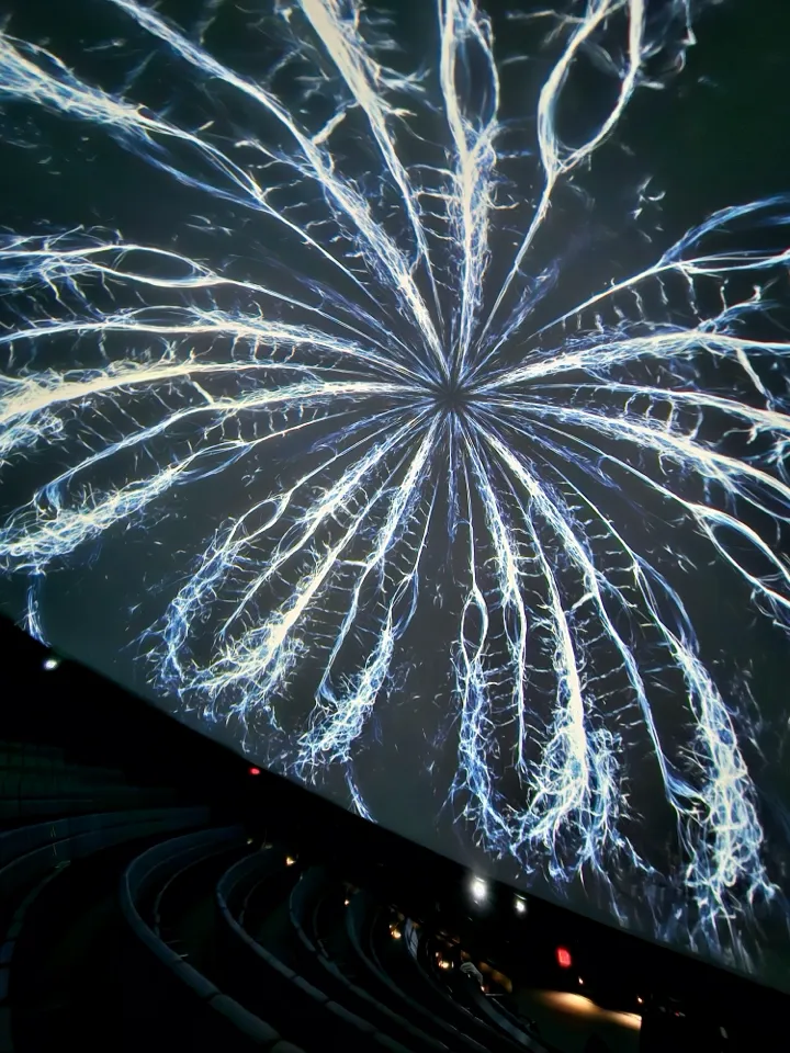 Frost Planetarium, 邁阿密, 2023