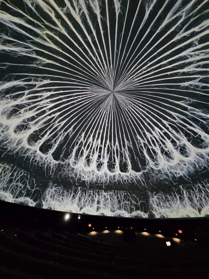 Frost Planetarium, 邁阿密, 2023