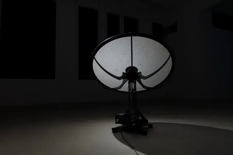 2016